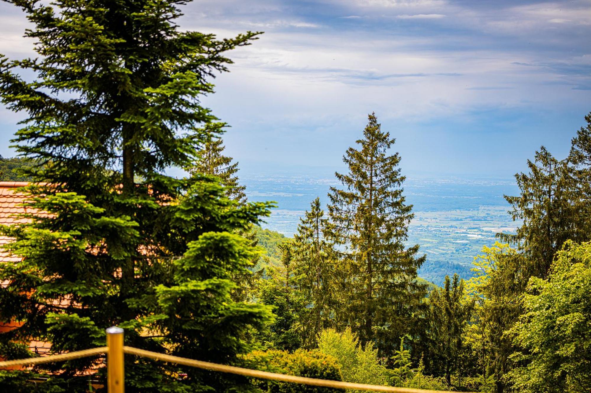 Sonnenhaeusle - Natur. Fernblick. Panorama-Sauna. Sasbachwalden Εξωτερικό φωτογραφία