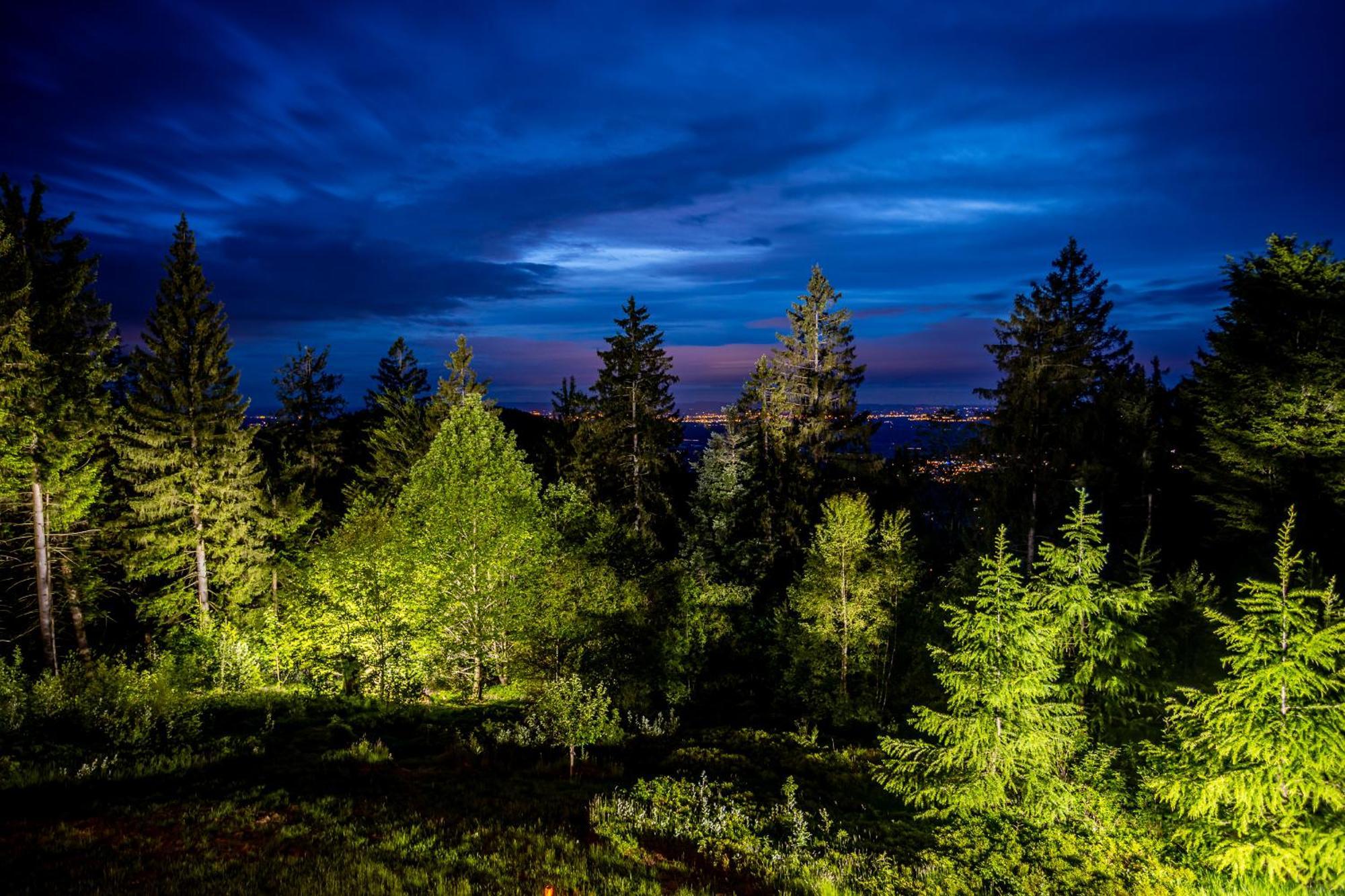 Sonnenhaeusle - Natur. Fernblick. Panorama-Sauna. Sasbachwalden Εξωτερικό φωτογραφία
