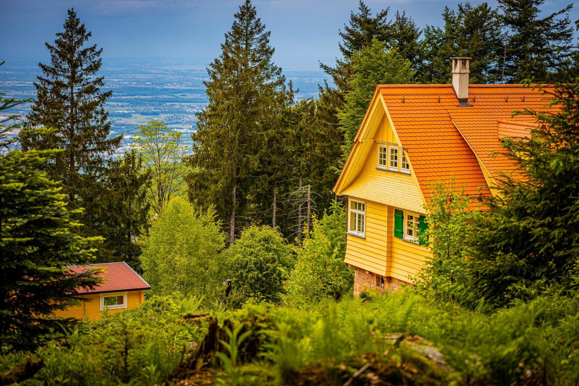 Sonnenhaeusle - Natur. Fernblick. Panorama-Sauna. Sasbachwalden Εξωτερικό φωτογραφία