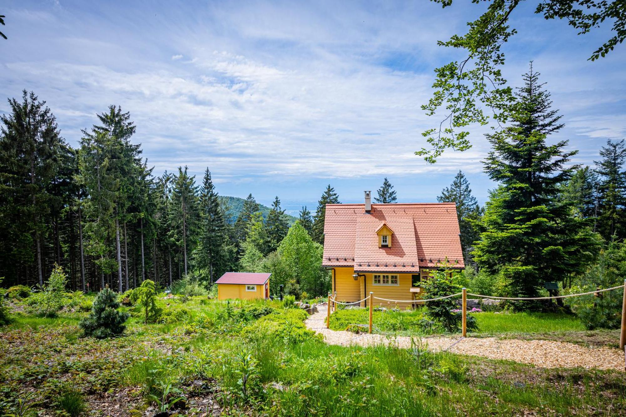 Sonnenhaeusle - Natur. Fernblick. Panorama-Sauna. Sasbachwalden Εξωτερικό φωτογραφία