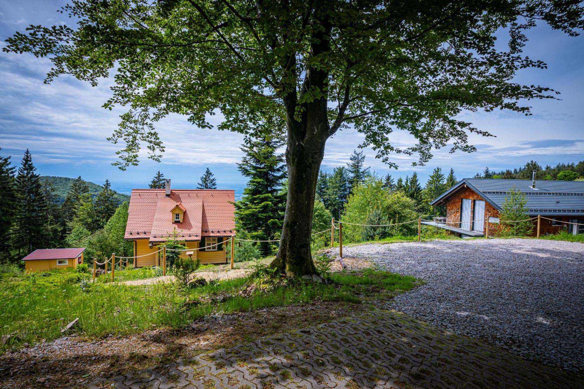 Sonnenhaeusle - Natur. Fernblick. Panorama-Sauna. Sasbachwalden Εξωτερικό φωτογραφία
