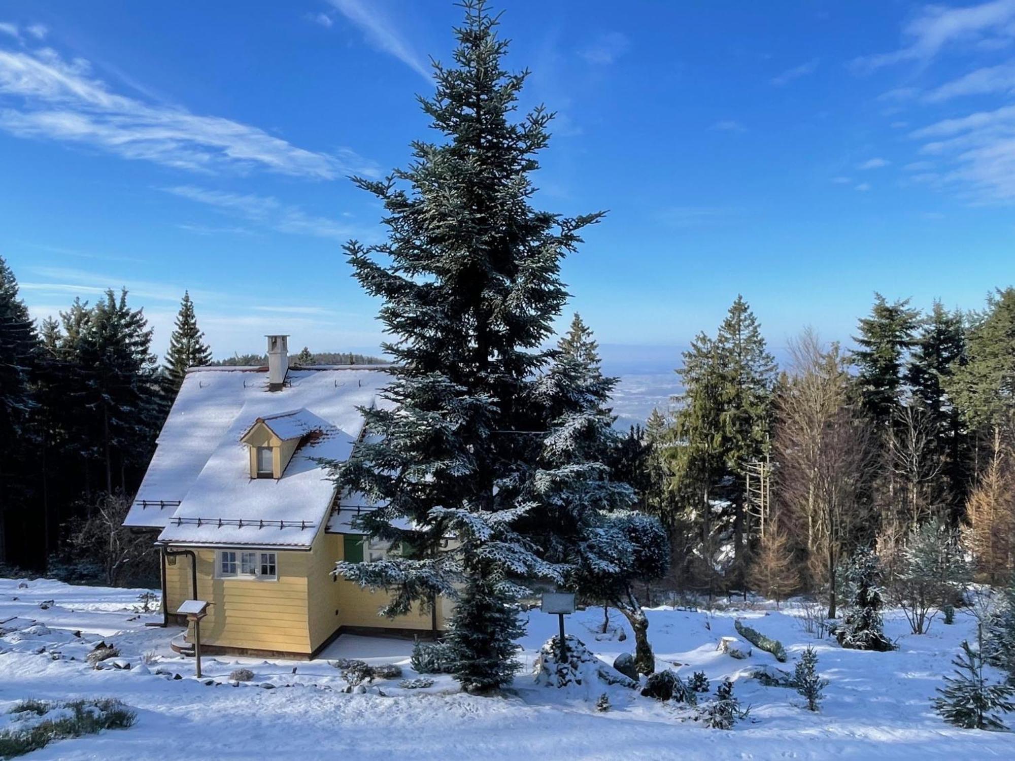 Sonnenhaeusle - Natur. Fernblick. Panorama-Sauna. Sasbachwalden Εξωτερικό φωτογραφία